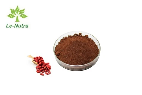 Extrato de Goji Berry em pó